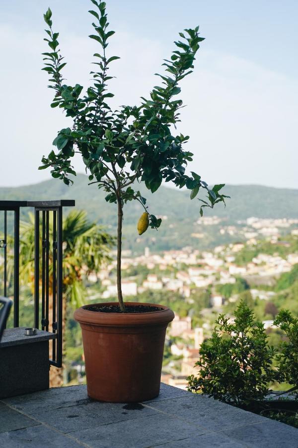 Villa Almana Cernobbio Exteriér fotografie